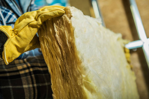 Best Insulation Installation Services in Astatula, FL
